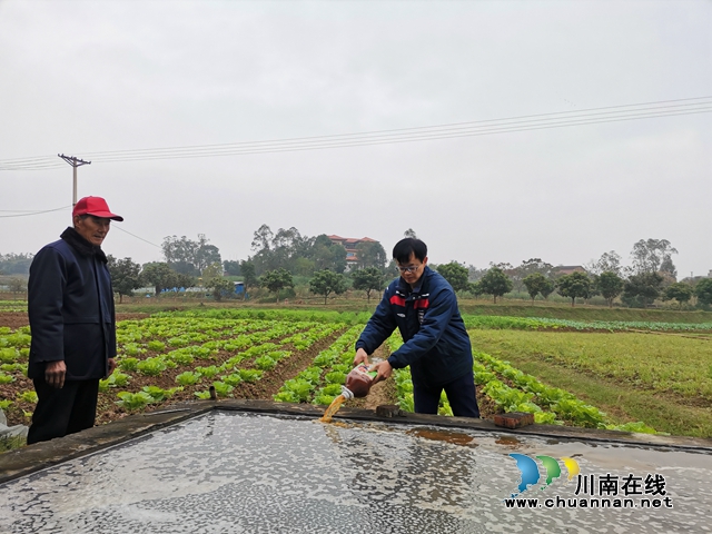 变废为宝  泸县有机种植蔬菜成新宠(图2)