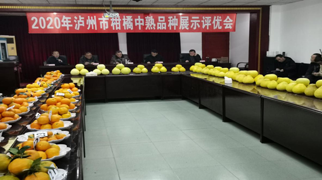 泸州市召开柑橘中熟品种展示评优会，金奖银奖都有哪些？(图1)