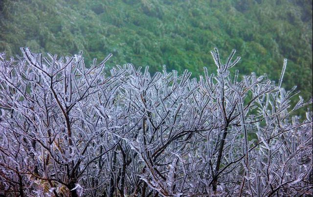 2020叙永、古蔺初雪美景图(图4)