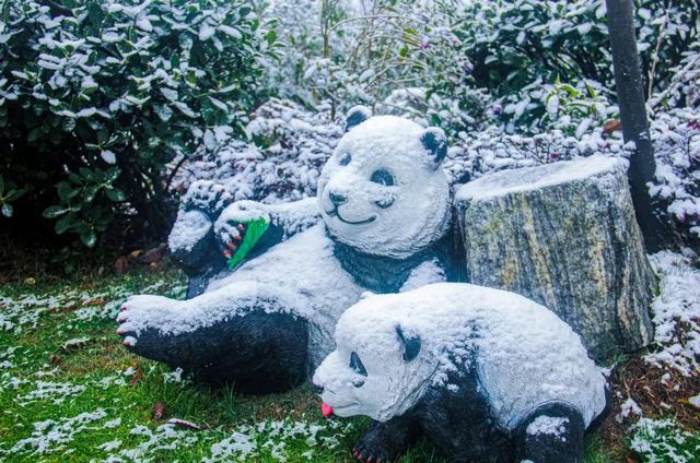 2020叙永、古蔺初雪美景图(图5)