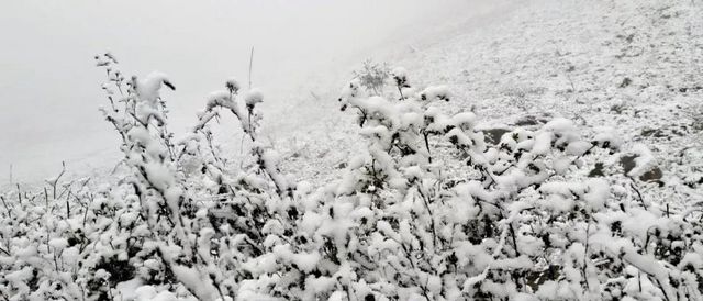 2020叙永、古蔺初雪美景图(图9)