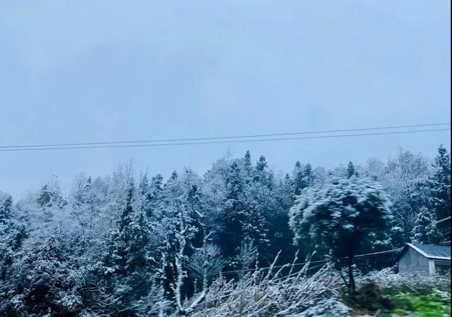 2020叙永、古蔺初雪美景图(图8)