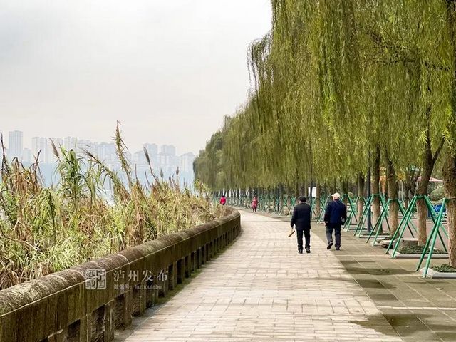 泸州长江滨江路景观已恢复原貌，四条景观大道升级完成(图2)