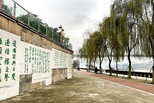 泸州长江滨江路景观已恢复原貌，四条景观大道升级完成(图3)