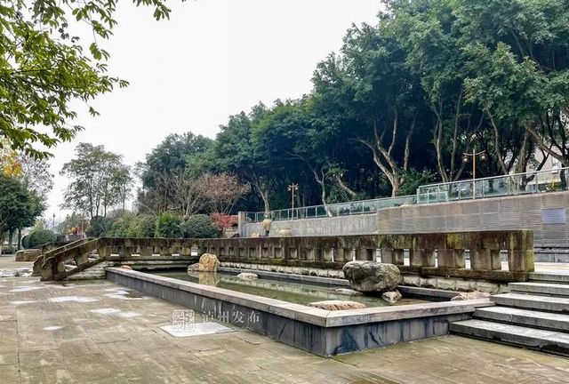 泸州长江滨江路景观已恢复原貌，四条景观大道升级完成(图5)