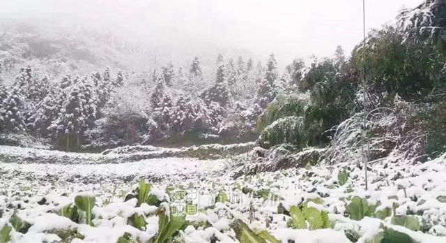 【扩散】12月12日,相约西南医大中医院“火”一把!(图1) 【扩散】12月12日,相约西南医大中医院“火”一把!(图1)