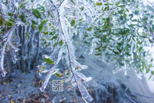 【扩散】12月12日,相约西南医大中医院“火”一把!(图2) 【扩散】12月12日,相约西南医大中医院“火”一把!(图2)