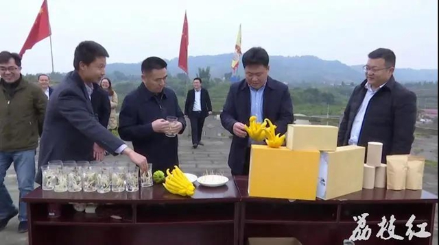 【双城经济圈】合江县白沙镇与永川区朱沱镇签订合作备忘录(图4)