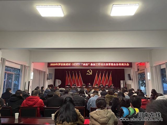 龙马潭区罗汉街道召开2020年村（社区）“两委”换届工作动员大会(图1)