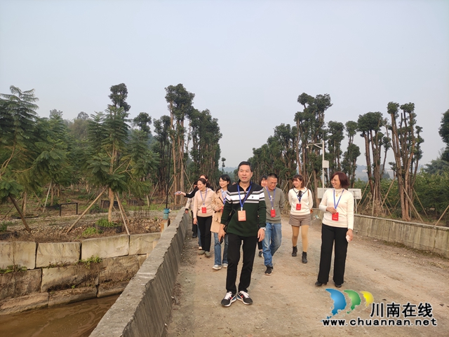 江阳区北城街道开展2020年代表小组视察调研活动(图1)