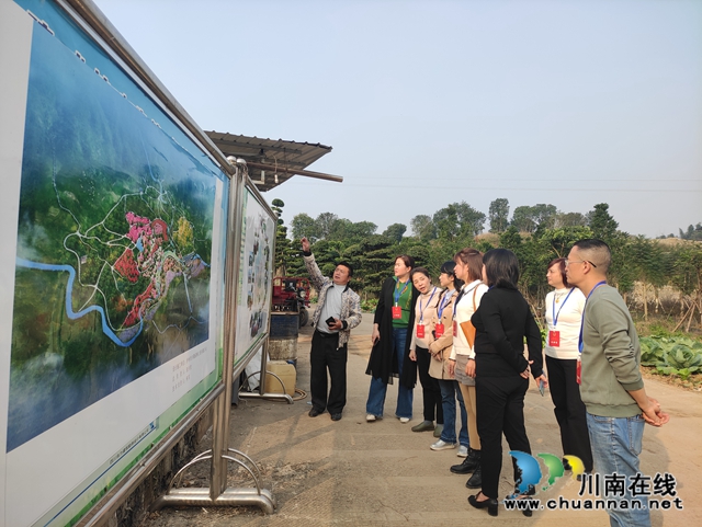 江阳区北城街道开展2020年代表小组视察调研活动(图2)