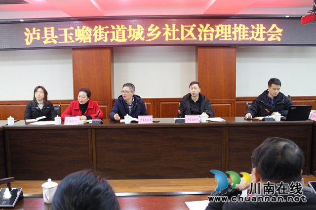 泸县城乡社区治理试点工作推进会在玉蟾街道召开(图1)