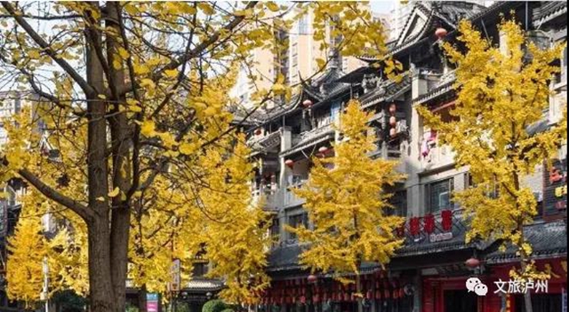 叙永街景最美的地方 原来在这里！(图3)