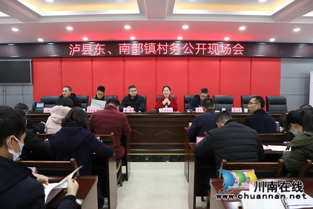 泸县东、南部乡镇村务公开现场会走进云龙镇大水河村(图4)