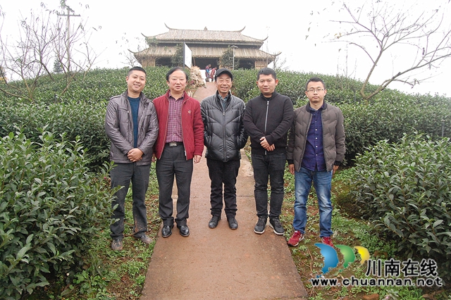 中国茶叶高级专家王云到泸州拂羽茶叶公司调研(图5) 中国茶叶高级专家王云到泸州拂羽茶叶公司调研(图5)