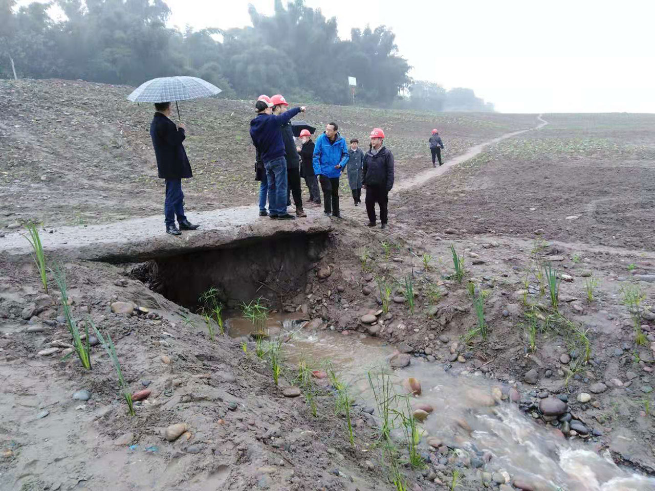 纳溪区长江经济带废弃露天矿山生态修复工程通过初步验收