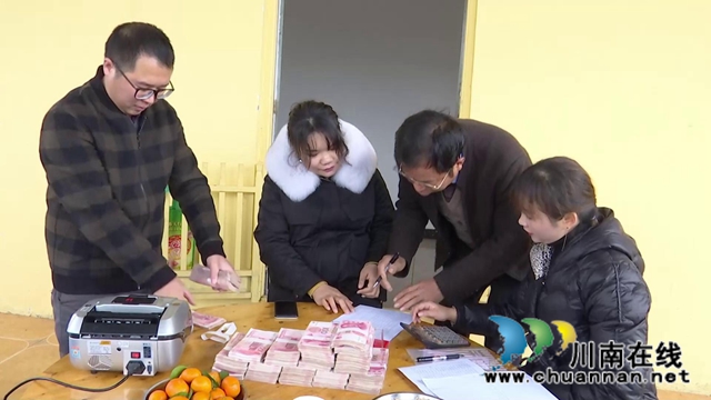 合江黄金湾村：1700多头生猪出栏，社员分红50多万元