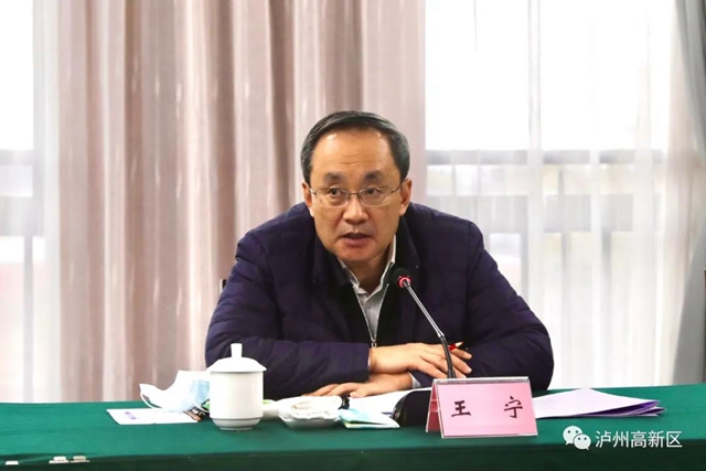 王宁、杨兴平到泸州国家高新区督导工作(图3)
