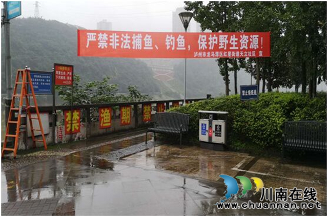 龙马潭区红星街道“多措并举”强化禁渔宣传工作(图3)