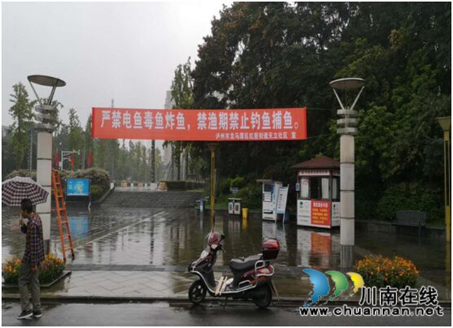 龙马潭区红星街道“多措并举”强化禁渔宣传工作(图4)
