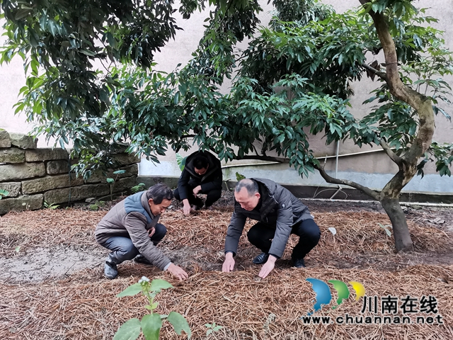 泸县牛滩镇新嘉村 “菇娘”出嫁啦！