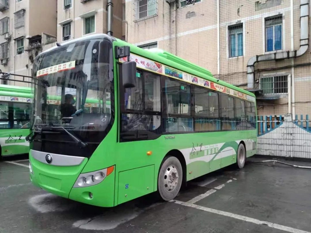 合江重庆间首条跨省公交即将开通，途径这些地方……(图5)