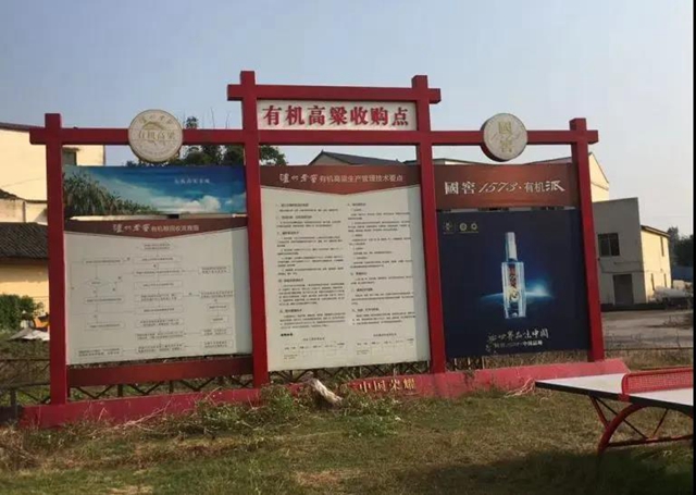 善始善终，一起走向美好生活！(图7)