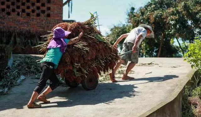 善始善终，一起走向美好生活！(图5)