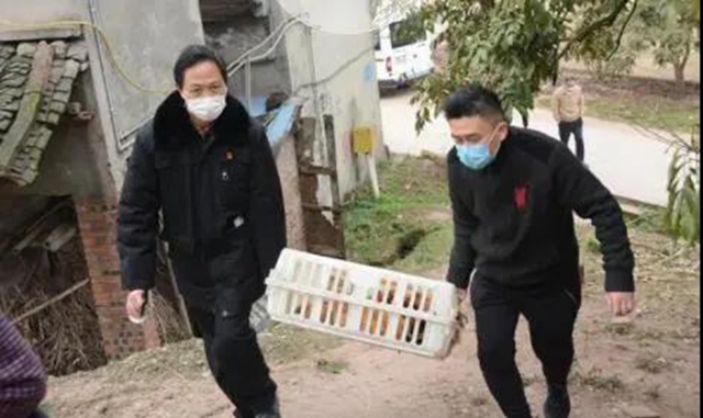 善始善终，一起走向美好生活！(图27)