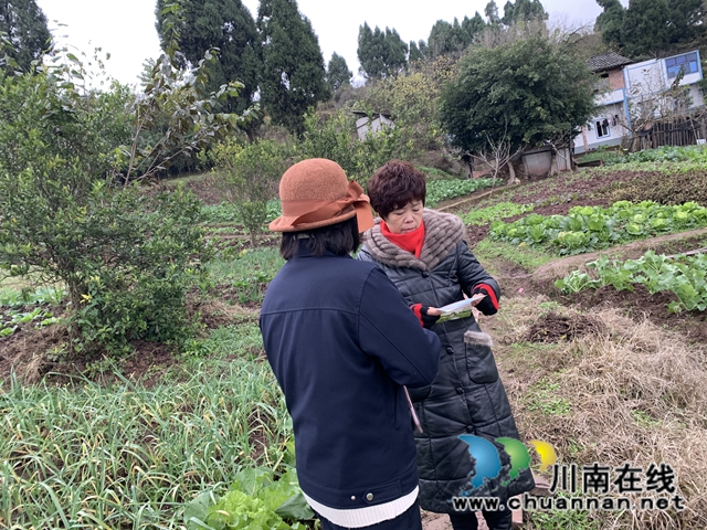 内江经开区靖民镇凉风社区积极开展平安建设宣传