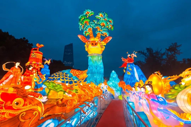 自贡彩灯点亮深圳！超多美图，快来一睹！(图5)