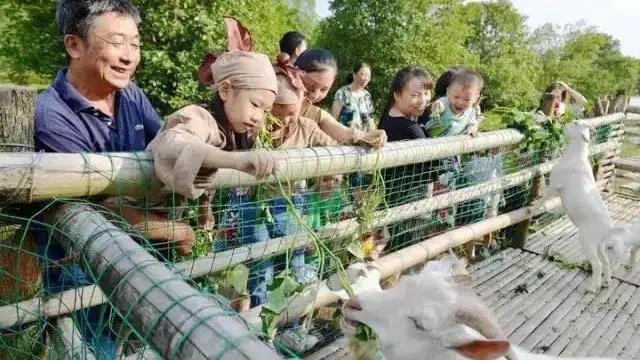 住房车，赏百草！新晋内江网红地“药王谷”来了！(图4)