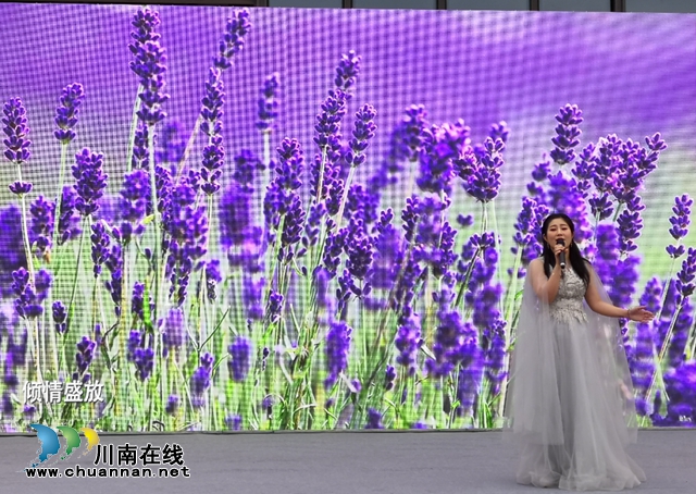 “这有光”杯“唱响龙马潭”原创歌曲大赛落幕，观众希望多搞这样的活动！（附获奖名单）(图9)