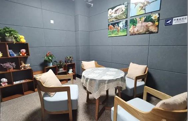 全泸州，唯一的女派出所长。是谁？(图6)