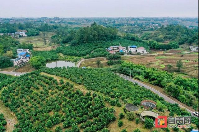 【盘点】自贡日报社评出2020自贡十大新闻(图3)