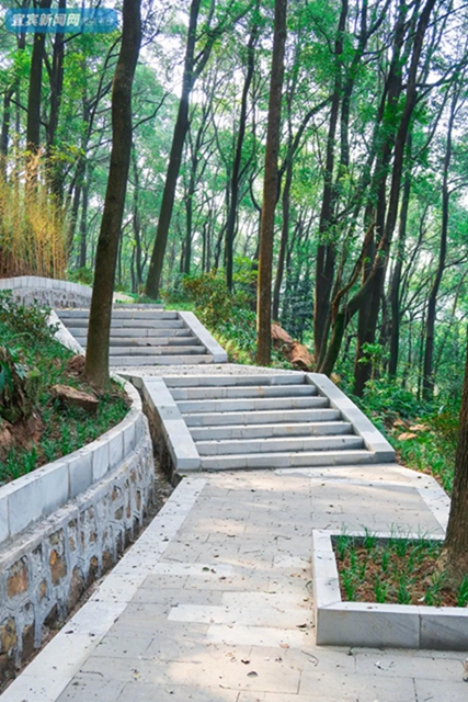 震撼！宜宾翠屏山又一网红打卡地来了！巨大环形建筑、绝美栈道、360°观景台……(图28)