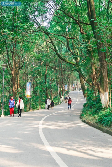 震撼！宜宾翠屏山又一网红打卡地来了！巨大环形建筑、绝美栈道、360°观景台……(图30)