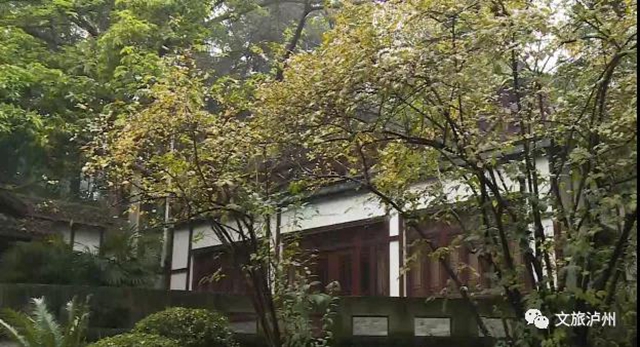 香喷喷!快来泸州这些地方赏蜡梅(图6) 香喷喷!快来泸州这些地方赏蜡梅(图6)