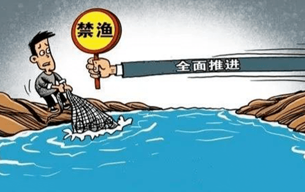 泸州全面开展退捕渔民养老保险补贴工作，标准：人均15年，每年不低于2500元(图1)