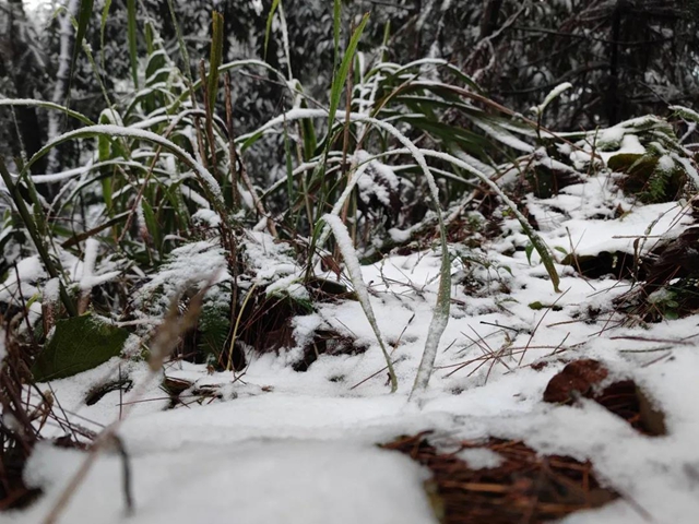 来方山，“雪”拼！(图3)