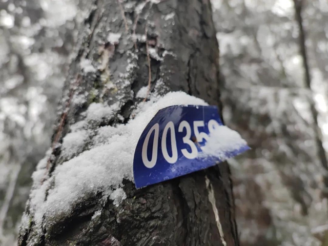 来方山，“雪”拼！(图4)