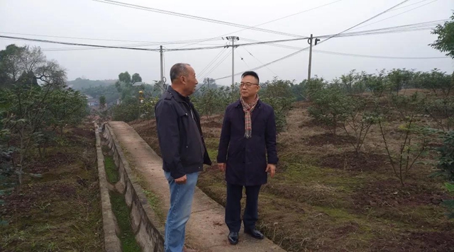 42岁接手百年清代药坊，他用17年演绎了一部内江版“大宅门”传奇！(图2)