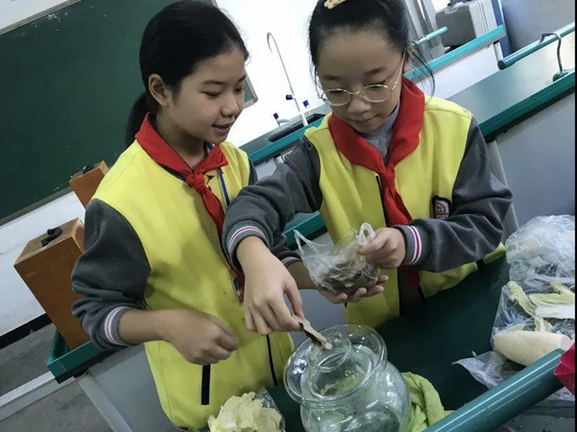 区域特色|江阳教育：木刻版画进课堂(图26)