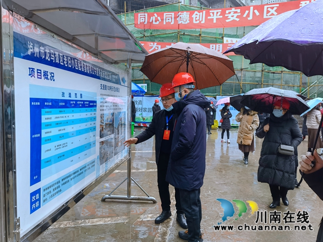 龙马潭区小市街道开展区人大代表集中视察活动(图1)