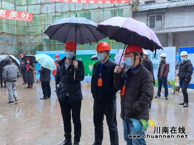 龙马潭区小市街道开展区人大代表集中视察活动(图2)