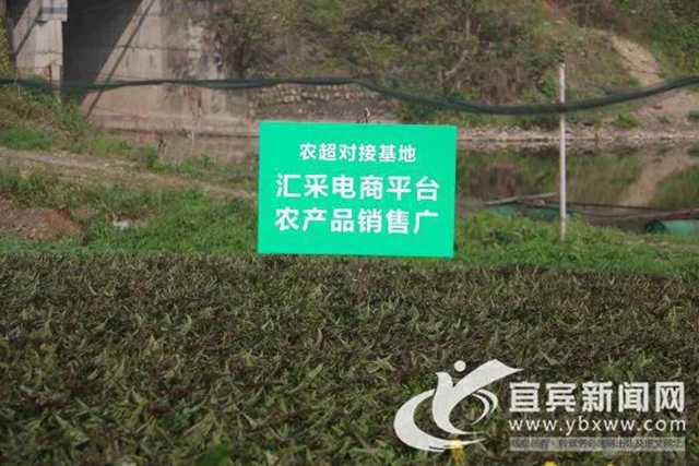 逆势增长！2020年宜宾电子商务交易额达397亿元(图3)