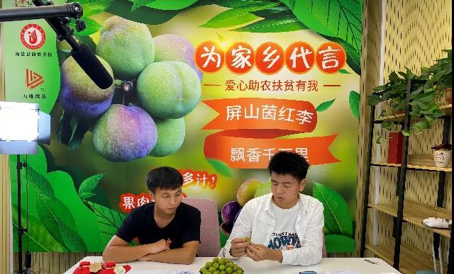 逆势增长！2020年宜宾电子商务交易额达397亿元(图4)