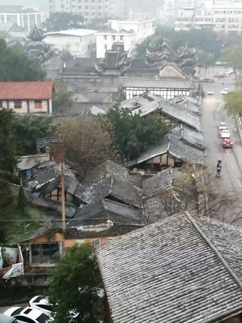 自贡这波霜冻图，也太美了吧！(图6)