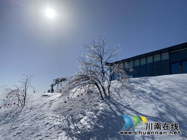 泸州之巅，轰冻全城！叙永罗汉林首届冰雪节盛大开启！(图10)