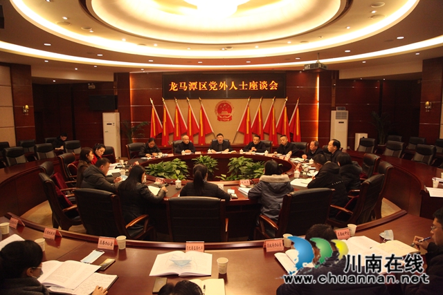 龙马潭区召开党外人士座谈会(图1)